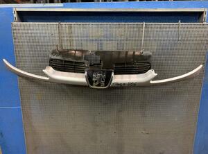 Radiator Grille FORD Focus II Stufenheck (DB, DH, FCH)