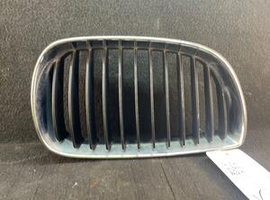 Radiator Grille BMW 1 (E87), BMW 1 (E81)