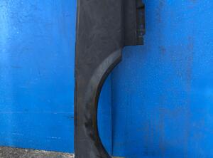 Spatbord RENAULT 25 (B29)