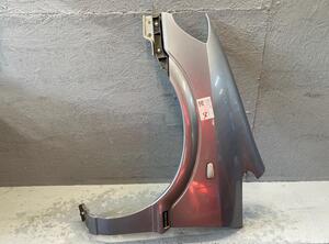 Spatbord OPEL Zafira A (F75_)