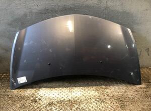 Bonnet RENAULT Clio III (BR0/1, CR0/1), RENAULT Clio IV (BH), RENAULT Clio II (BB, CB)