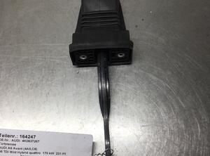 Door Check Strap AUDI A6 Avant (4A5, C8)