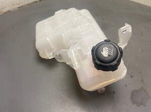 Coolant Expansion Tank RENAULT Espace IV (JK0/1)