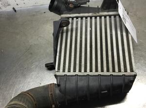 Intercooler VW Polo (9N)