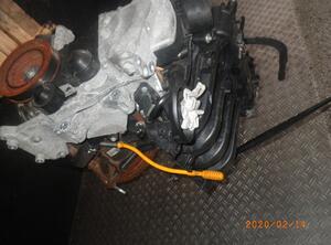 Bare Engine RENAULT Twingo II (CN0)