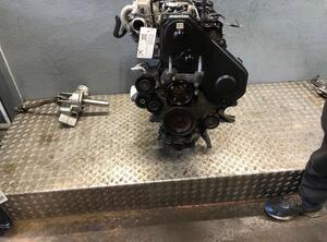 Motor kaal FORD Focus II (DA, DP, HCP)