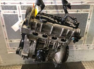 250010 Motor ohne Anbauteile SEAT Ibiza IV (6J) BXW