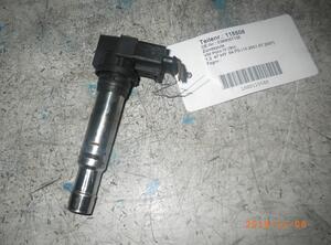 Ignition Coil VW Polo (9N)