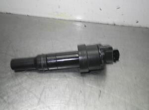 Ignition Coil HYUNDAI i20 (PB, PBT)