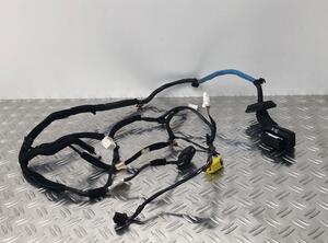 Wiring Harness HYUNDAI i20 (GB, IB), HYUNDAI i20 II Coupe (GB), HYUNDAI i20 ACTIVE (IB, GB)