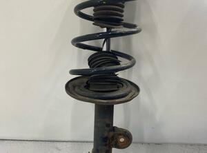 Shock Absorber TOYOTA RAV 4 III (A3)