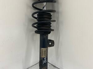 Shock Absorber BMW 1er Cabriolet (E88)