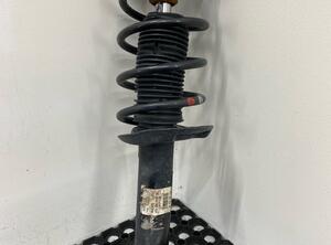 Shock Absorber SEAT ALTEA (5P1), SEAT ALTEA XL (5P5, 5P8)