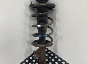 Shock Absorber HYUNDAI i10 (PA)