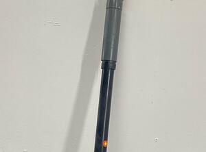 Shock Absorber FORD FIESTA VI (CB1, CCN)