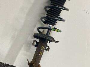 Shock Absorber FORD FIESTA VI (CB1, CCN)