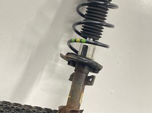 Shock Absorber FORD FIESTA VI (CB1, CCN)