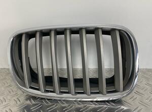 Radiateurgrille BMW X5 (E70)