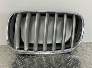 Ziergitter Grill Kühlergrill Niere Fronthaubengrill links BMW X5 E70  7 185 223