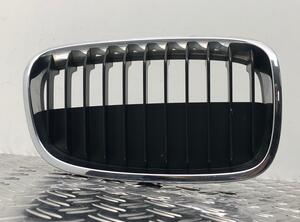 Radiator Grille BMW 1 (F20), BMW 1 (F21)