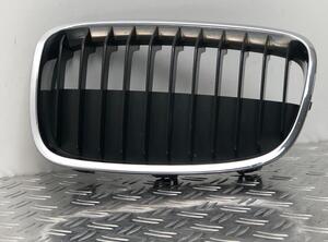 Radiator Grille BMW 1 (F20), BMW 1 (F21)