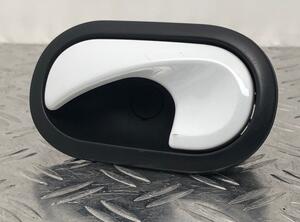 Door Handle RENAULT TWINGO II (CN0_)