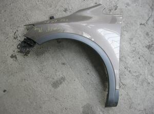 Spatbord VW Golf Plus (521, 5M1)