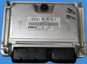 Fuel Injection Control Unit AUDI A6 Avant (4B5)