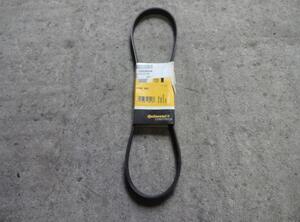 V Ribbed Belt AUDI A8 (4H2, 4H8, 4HC, 4HL) Contitec  5PK985