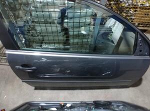 Door VW GOLF V (1K1)