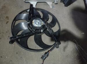 Radiator Electric Fan  Motor SKODA Fabia II Combi (545)