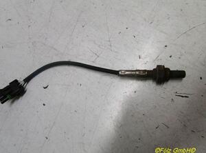 Lambda Sensor RENAULT Laguna I (556, B56)