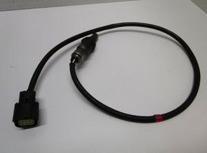 Lambda Sensor FORD Focus III Turnier (--)