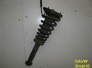 Suspension Strut NISSAN Primera Traveller (WP11)