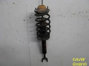 Suspension Strut VW Passat Variant (3B6)