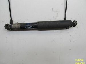 Shock Absorber FORD Tourneo Connect (--)