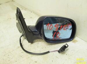 Wing (Door) Mirror VW Golf IV (1J1)