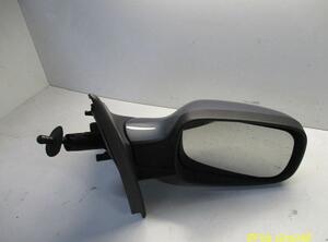 Wing (Door) Mirror RENAULT Clio III (BR0/1, CR0/1)