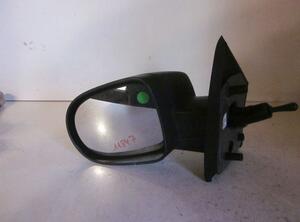 Wing (Door) Mirror RENAULT Twingo II (CN0)