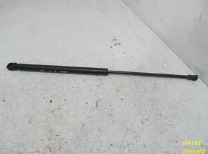 Gas Spring VW Golf IV (1J1)