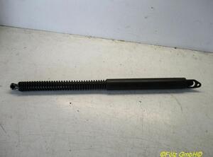 Gas Spring BMW 7er (E65, E66, E67)