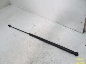 Gas Spring AUDI A4 Avant (8E5, B6)