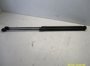 Gas Spring FORD C-MAX (DM2), FORD FOCUS C-MAX (DM2)