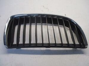 Radiator Grille BMW 3 Touring (E91)