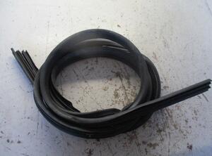 Door Seal DACIA Sandero (--)