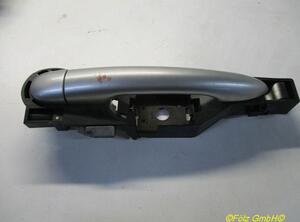 Door Handle RENAULT Clio III (BR0/1, CR0/1)