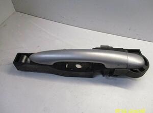 Door Handle RENAULT Clio III (BR0/1, CR0/1)