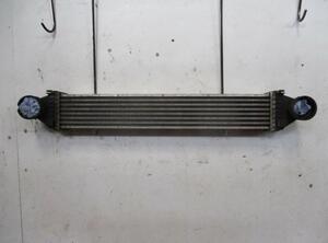 Intercooler MERCEDES-BENZ B-Klasse (W245)