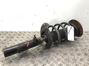 Suspension Strut FORD Galaxy (WA6), FORD S-Max (WA6)