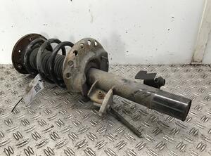 Suspension Strut FORD Galaxy (WA6), FORD S-Max (WA6)